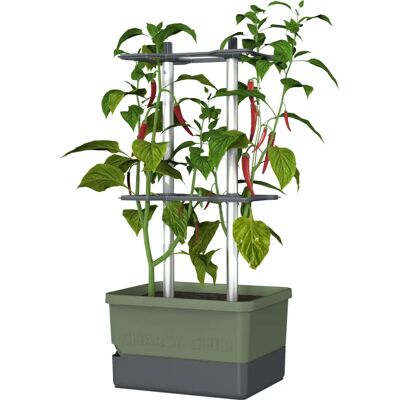 Gusta Garden Charly Chili Indoor/outdoor Pflanzgefäße - Pflanztopf Gusta Garden Charly Chili Indoor/outdoor Pflanzgefäße - Pflanztopf
