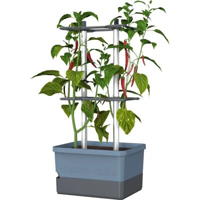 Gusta Garden Charly Chili Innen/Außen Topf - Selbstbewässerung, 10L, Blau, Modernes Design Gusta Garden Charly Chili Innen/Außen Topf - Selbstbewässerung, 10L, Blau, Modernes Design