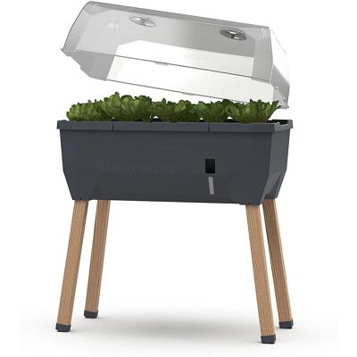Gusta Garden Hochbeet Sammy Salad - Innen/Außen Holz Gusta Garden Hochbeet Sammy Salad - Innen/Außen Holz