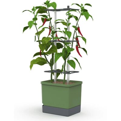 Gusta Garden - CHARLY CHILI XL - Tmavě zelená - XL - Planter Gusta Garden - CHARLY CHILI XL - Tmavě zelená - XL - Planter