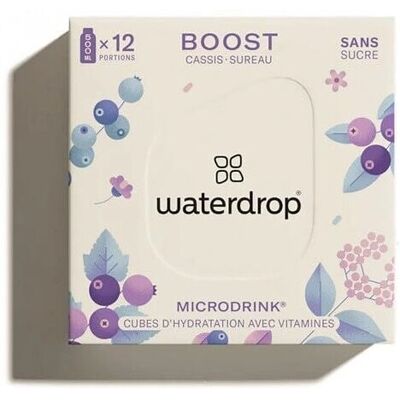 Waterdrop Microdrink Boost - 12 unités - Complément alimentaire - Publicité Waterdrop Microdrink Boost - 12 unités - Complément alimentaire - Publicité
