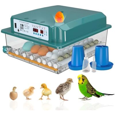 RAPANDA - Incubadora de huevos 24-36 - Giro automático - Monitor de humedad RAPANDA - Incubadora de huevos 24-36 - Giro automático - Monitor de humedad