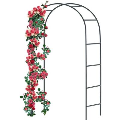RAPANDA - Arco per rose in metallo - Acero recubierto en polvo - Arco de jardín RAPANDA - Arco per rose in metallo - Acero recubierto en polvo - Arco de jardín