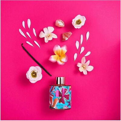 Baïja Île d'Azur Bouquet Parfumé - Diffuseur de Parfum - Publicité Baïja Île d'Azur Bouquet Parfumé - Diffuseur de Parfum - Publicité