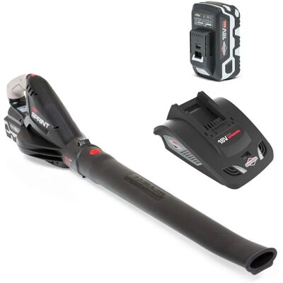 Briggs & Stratton 18V Lithium-Ion Bladblazer Set - Bladblazer Set Briggs & Stratton 18V Lithium-Ion Bladblazer Set - Bladblazer Set