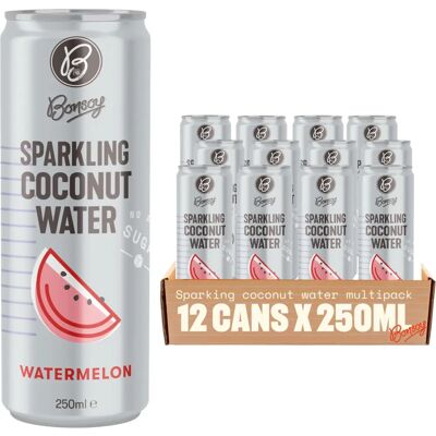 Bonsoy Organic Sparkling Coconut Water with Watermelon - Sparkling Coconut Water Bonsoy Organic Sparkling Coconut Water with Watermelon - Sparkling Coconut Water