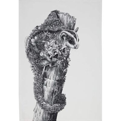 Maxwell & Williams Marini Ferlazzo Sugar Glider Tea Towel - Wildlife Illustration Maxwell & Williams Marini Ferlazzo Sugar Glider Tea Towel - Wildlife Illustration