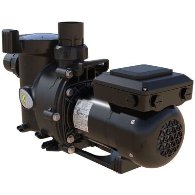 Zodiac E30iQ Pompa a Velocità Variabile - Pompa Piscina Zodiac E30iQ Pompa a Velocità Variabile - Pompa Piscina