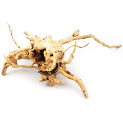 Aqua One - Azalea Root - 20-30 cm - Plant Aqua One - Azalea Root - 20-30 cm - Plant
