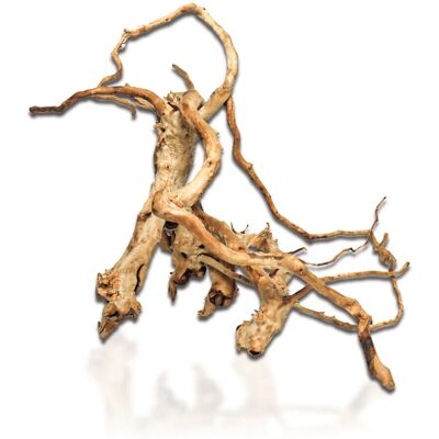 Aqua One - Azalea Root 30-40cm - Plant Aqua One - Azalea Root 30-40cm - Plant