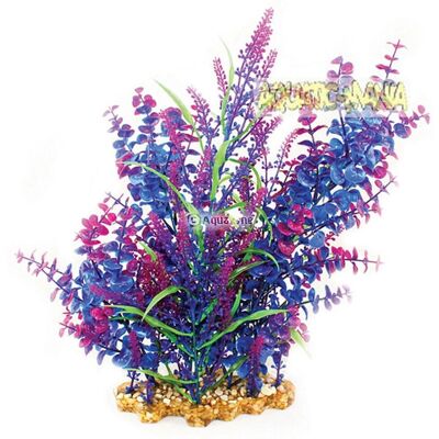 Aqua One - Vibrance Blue Plant Bacopa/Equisetum - Aquarium plant Aqua One - Vibrance Blue Plant Bacopa/Equisetum - Aquarium plant