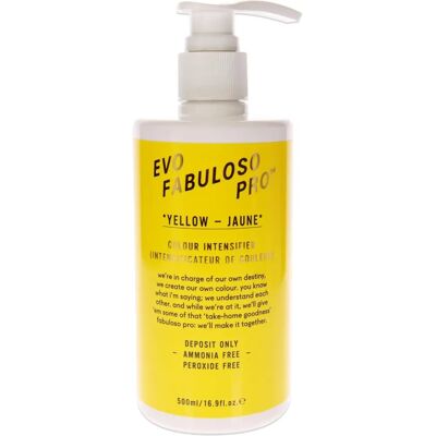 Evo Pro Yellow Color Intensifier - 16.9 oz Treatment Evo Pro Yellow Color Intensifier - 16.9 oz Treatment