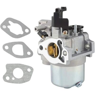GOTRAYS - 277-62301-30 - Carburetor kit GOTRAYS - 277-62301-30 - Carburetor kit