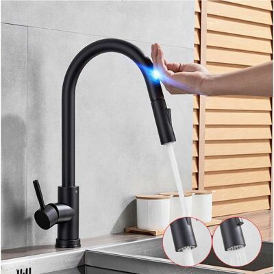 GOTRAYS - Smart Kitchen - Black - Stainless Steel - Faucet GOTRAYS - Smart Kitchen - Black - Stainless Steel - Faucet