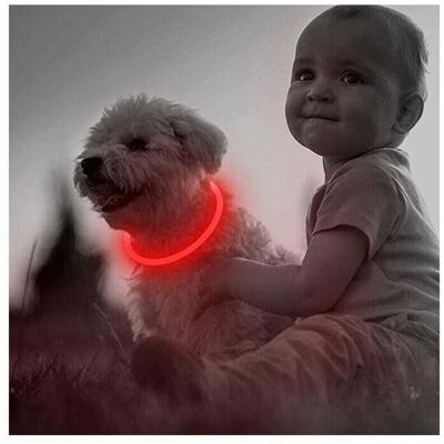 GOTRAYS - LED USB - Rechargeable - Waterproof - Dog Collar GOTRAYS - LED USB - Rechargeable - Waterproof - Dog Collar