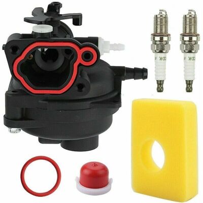 GOTRAYS - Briggs Stratton 799583 - Kit de carburador GOTRAYS - Briggs Stratton 799583 - Kit de carburador