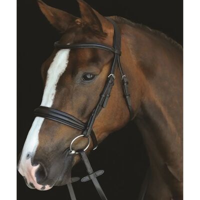 Collegiate Mono Crown Polsterter Erhöhter Cavesson-Trense - Braun - Warmblood Collegiate Mono Crown Polsterter Erhöhter Cavesson-Trense - Braun - Warmblood
