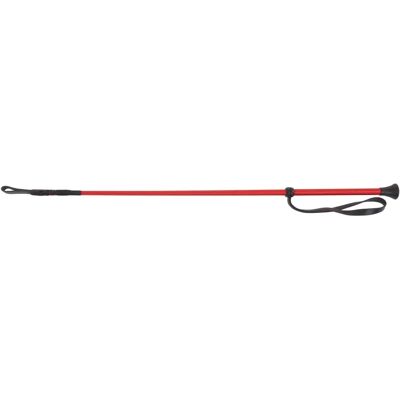 Longe tressée Weatherbeeta Dublin - Crop Whip - Publicité Longe tressée Weatherbeeta Dublin - Crop Whip - Publicité