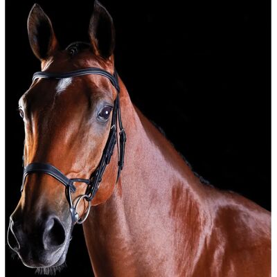 Collegiate ComFiTec Trainingsbridle - Schwarz - Cob Collegiate ComFiTec Trainingsbridle - Schwarz - Cob