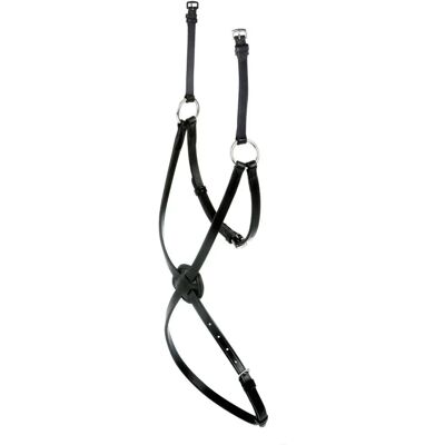 Collegiate Mono Crown Grackle Nasenband - Kontrolle - Pferde-Nasenband Collegiate Mono Crown Grackle Nasenband - Kontrolle - Pferde-Nasenband