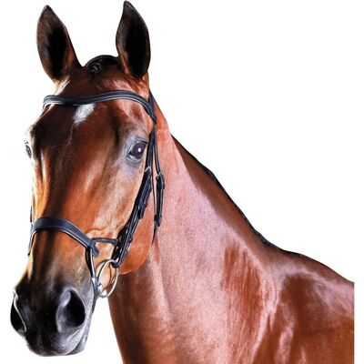 Collegiate ComFiTec Trainingsbridle - Schwarz - Pony Collegiate ComFiTec Trainingsbridle - Schwarz - Pony