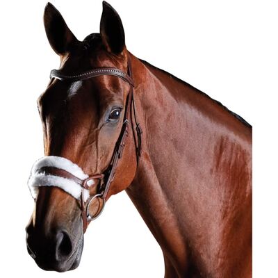 Collegiate ComFiTec Trainingsbridle - Braun - Pony Collegiate ComFiTec Trainingsbridle - Braun - Pony