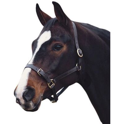 Collegiate Comfitec Lederhalfter - Schwarz - Pony Collegiate Comfitec Lederhalfter - Schwarz - Pony