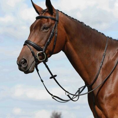 Collegiate Syntovia+ Flache Lauf-Martingal - Martingale Collegiate Syntovia+ Flache Lauf-Martingal - Martingale