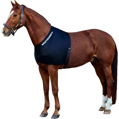 Protector d'épaule extensible Weatherbeeta Noir Cob - Protection pour chevaux - Publicité Protector d'épaule extensible Weatherbeeta Noir Cob - Protection pour chevaux - Publicité