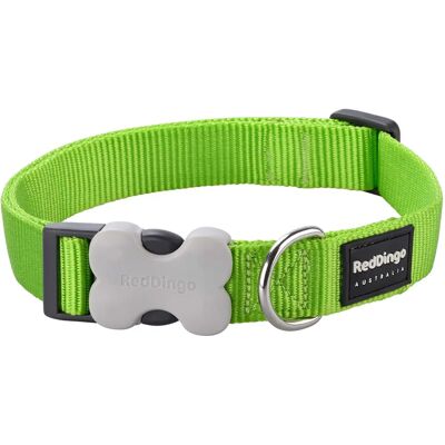 Red Dingo Lime Green Dog Collar - Dog Collar Red Dingo Lime Green Dog Collar - Dog Collar