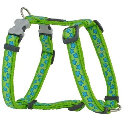 Imbracatura per Cani Stella Verde - Imbracatura per Cani Imbracatura per Cani Stella Verde - Imbracatura per Cani