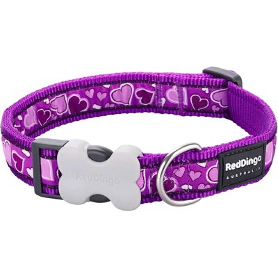 Collier pour chien Bucklebone violet Red Dingo - Moyen - Publicité Collier pour chien Bucklebone violet Red Dingo - Moyen - Publicité