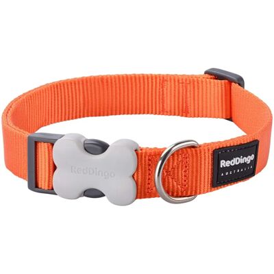 Collare per cani Red Dingo Bucklebone - Arancione - 20mm Collare per cani Red Dingo Bucklebone - Arancione - 20mm