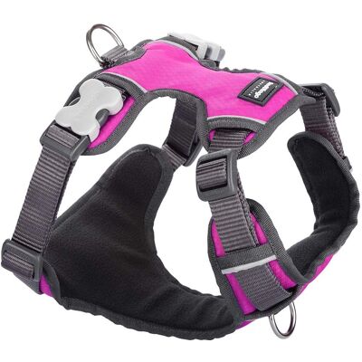 Imbracatura imbottita per cani color rosa fucsia Red Dingo - Imbracatura per cani Imbracatura imbottita per cani color rosa fucsia Red Dingo - Imbracatura per cani