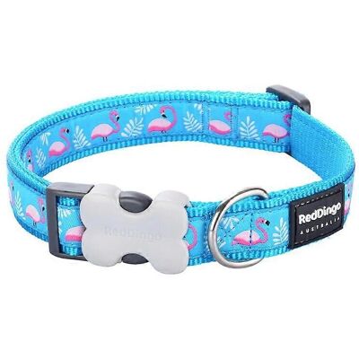 Red Dingo Collar - Turquoise - 15mm x 24-36cm - Dog collar Red Dingo Collar - Turquoise - 15mm x 24-36cm - Dog collar