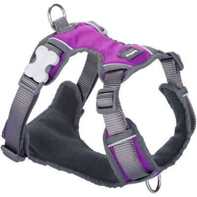 Harnașament pour chiens Red Dingo Dingo 25-36 cm 31-43 cm Violet XS - Publicité Harnașament pour chiens Red Dingo Dingo 25-36 cm 31-43 cm Violet XS - Publicité