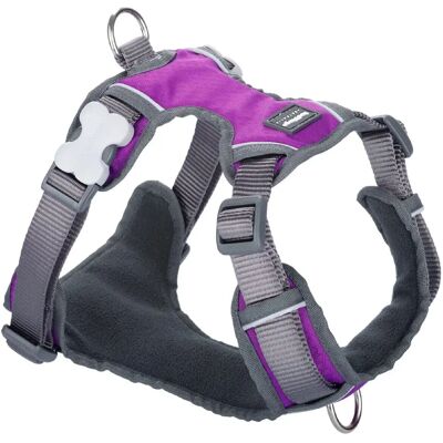 Harnais pour chien Violet Dingo Dingo - Moyen Harnais pour chien Violet Dingo Dingo - Moyen