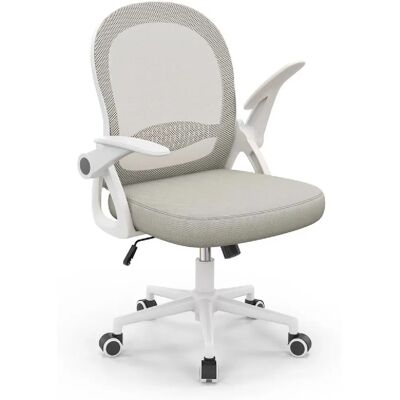 BIGZZIA - Sedia Ufficio - Ergonomique - Office chair - Publicité BIGZZIA - Sedia Ufficio - Ergonomique - Office chair - Publicité