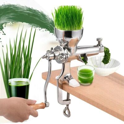 Senderpick - Exprimidor 304 - hierba de trigo - SS - Juicer Senderpick - Exprimidor 304 - hierba de trigo - SS - Juicer