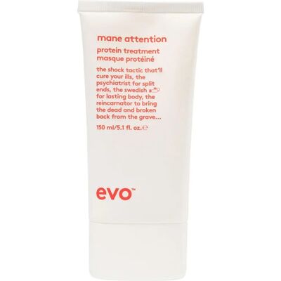 EVO Repair Mane Attention - Tiefenwirksame Feuchtigkeitsmaske - 150 ml EVO Repair Mane Attention - Tiefenwirksame Feuchtigkeitsmaske - 150 ml