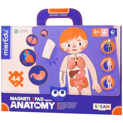 MierEdu Magnetisches Puzzle - Human Anatomie - 44 Stück MierEdu Magnetisches Puzzle - Human Anatomie - 44 Stück