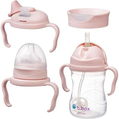 B.Box Baby Bottle 4 in 1 - Blush 240 ml Biberon per bambini B.Box Baby Bottle 4 in 1 - Blush 240 ml Biberon per bambini