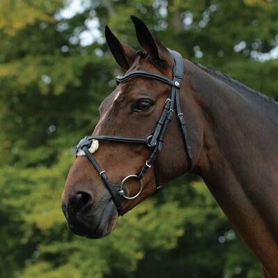 Bridon Collegiate ComFiTec Grackle - Noir - Warmblood - Publicité Bridon Collegiate ComFiTec Grackle - Noir - Warmblood - Publicité
