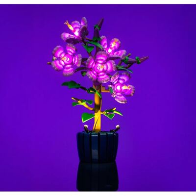 Light My Bricks - Hibiscus 10372 - Lichtkit Light My Bricks - Hibiscus 10372 - Lichtkit