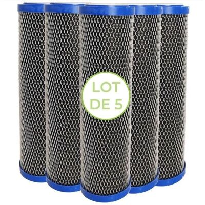 Csparkv - 2in-1 10in Carbon Block - 5 micron - Filter Pack Csparkv - 2in-1 10in Carbon Block - 5 micron - Filter Pack