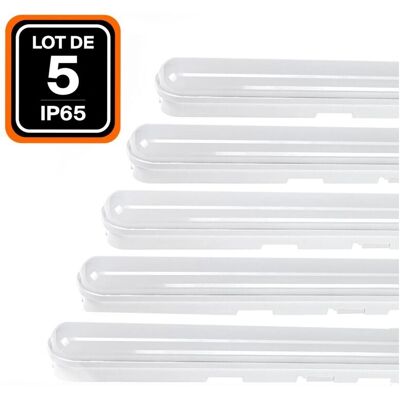 EUROPALAMP Tubo LED 36W 6000K - Impermeable, IP65, Interior/Exterior EUROPALAMP Tubo LED 36W 6000K - Impermeable, IP65, Interior/Exterior