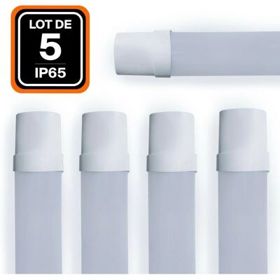 EUROPALAMP Tira LED 36W 4000K Blanco Neutro Impermeable EUROPALAMP Tira LED 36W 4000K Blanco Neutro Impermeable
