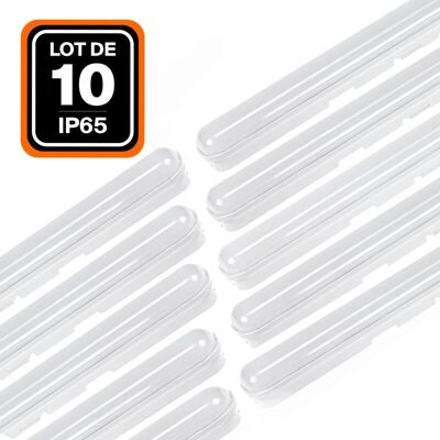 EUROPALAMP Luce esterna impermeabile LED - 36W, 6000K, IP65, Montaggio su superficie EUROPALAMP Luce esterna impermeabile LED - 36W, 6000K, IP65, Montaggio su superficie