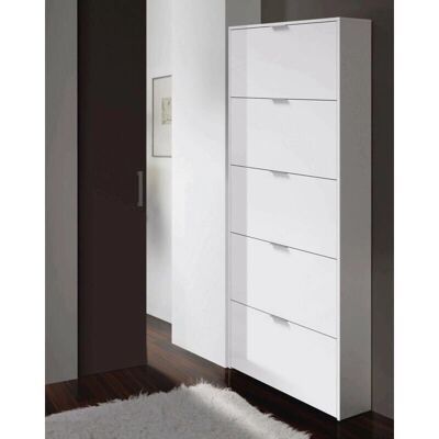 Caesaroo Washington Zapatero - Ahorro de espacio, 5 puertas, Blanco moderno Caesaroo Washington Zapatero - Ahorro de espacio, 5 puertas, Blanco moderno
