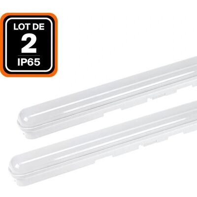 EUROPALAMP Tubo LED 36W 6000K IP65 Impermeabile - Interno/Esterno EUROPALAMP Tubo LED 36W 6000K IP65 Impermeabile - Interno/Esterno
